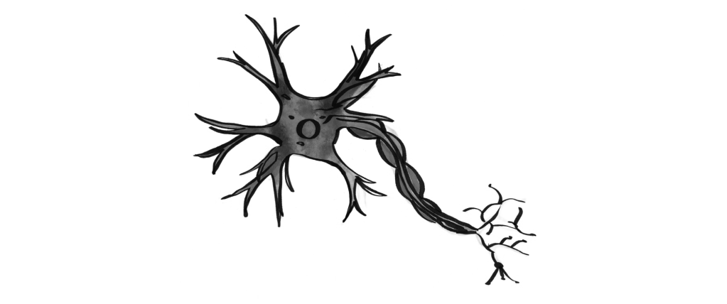 Uma memória que (talvez) nunca&nbsp;existiu